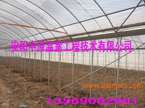 中原地區(qū)養(yǎng)殖大棚骨架與鋼架大棚骨架 廠家、價格與農(nóng)業(yè)溫室應(yīng)用