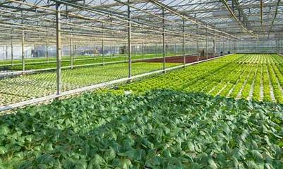 溫室大棚恒溫種植節能改造優選空氣能熱泵,價格低更實用