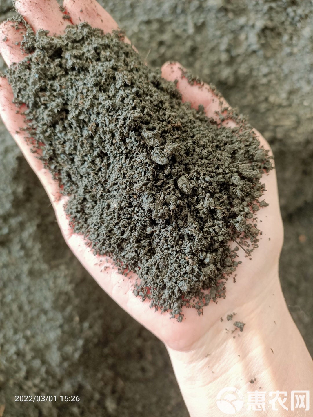 高品質有機肥料的選擇 高溫發酵純羊糞與微生物技術的完美融合